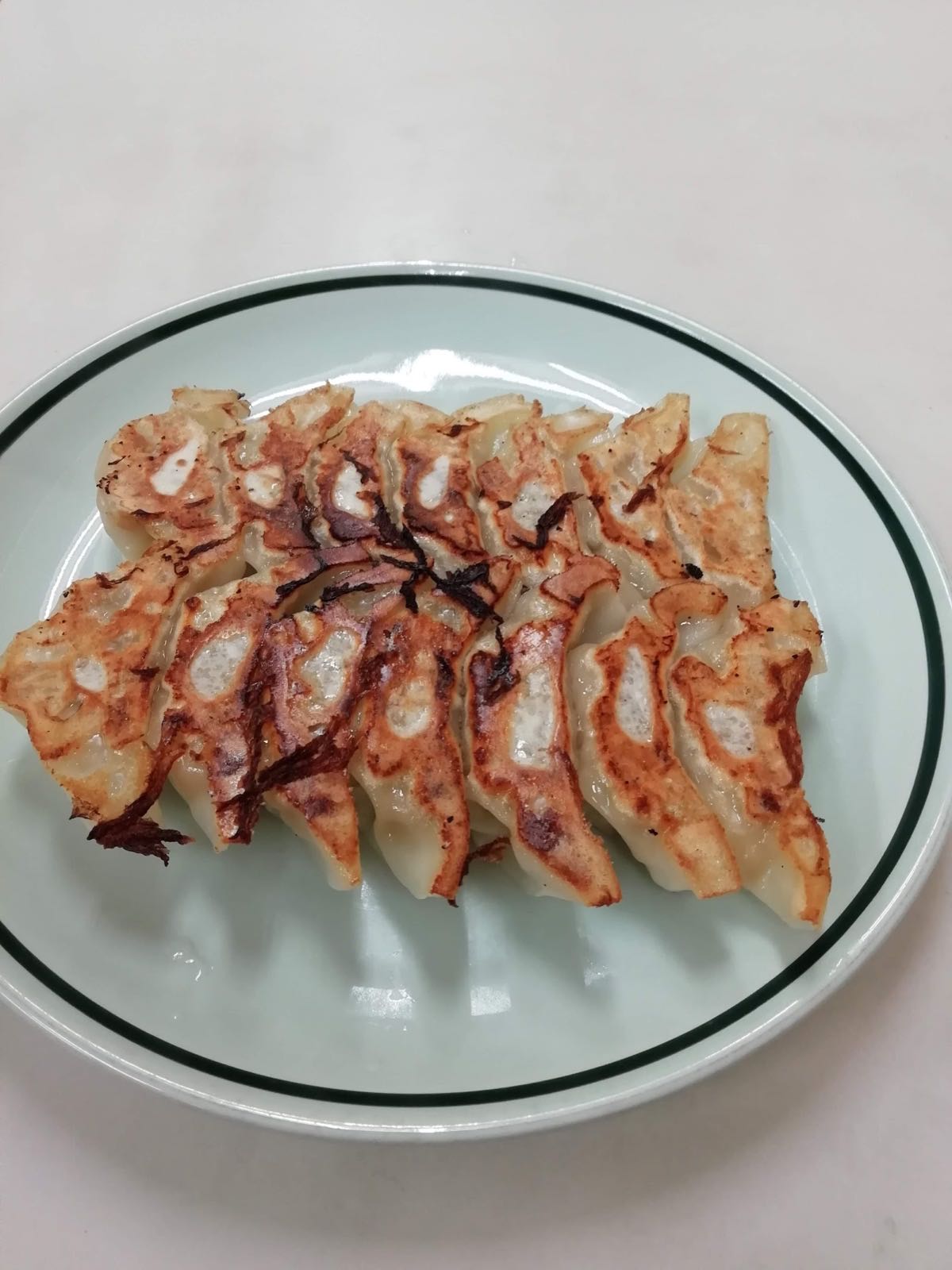 白い皿に二列に並べられた焼餃子