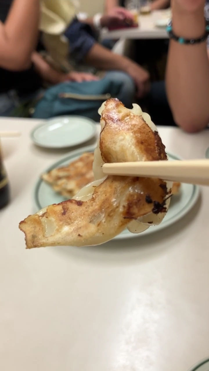 箸で持ち上げた焼餃子